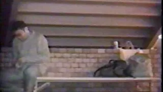 Таксины жолооч зорчигчтой бэлгийн харьцаанд ордог.