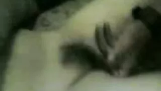 Польш, АНУ-ын хөхөх хойлог, зөндөө.