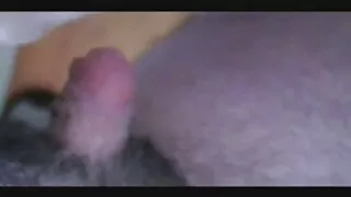 Гоо үзэсгэлэн нь өөрсдийгөө илжигэнд хуурдаг.