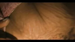Залуу улаан толгойтой илжиг дэх секс.