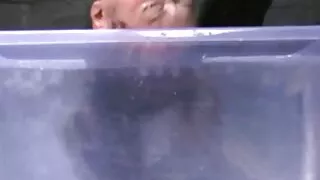 Шинэ жилээр нэг охин, Түүний найз охин Зөндөө.