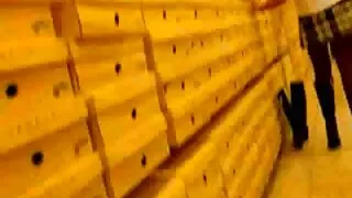 Жиробасина хөршөө бэлгийн харьцаанд уруу татдаг.