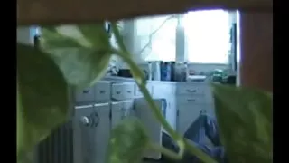 Цэвэрлэх хатагтай галзуугийн.